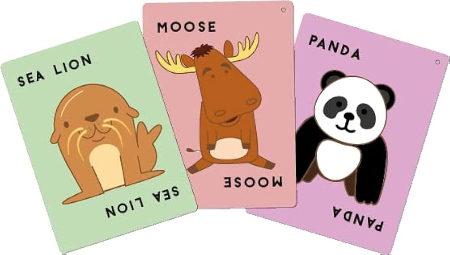 Close-up of Taco Cat Goat Cheese Pizza Moose game cards showing animal matching mechanics