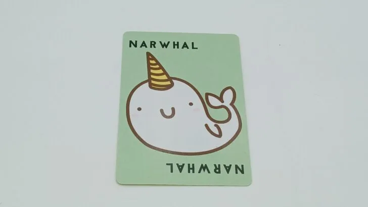 Narwhal card illustration showing a narwhal with its signature horn