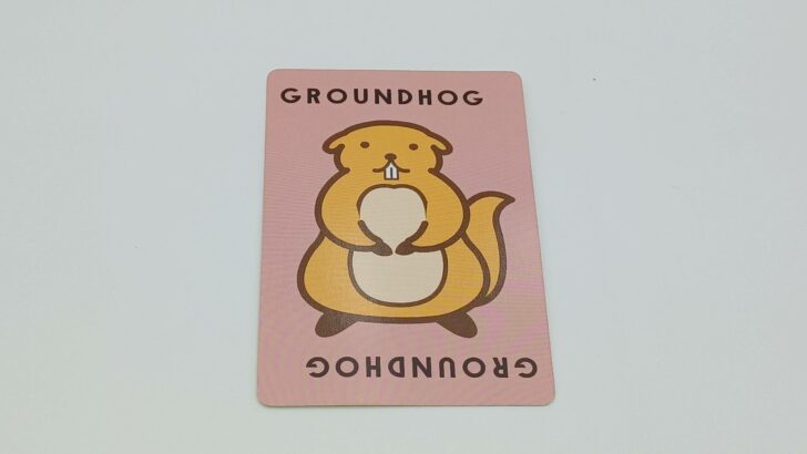 Groundhog card illustration showing a groundhog popping from its hole