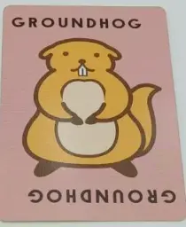 Groundhog card gesture illustration
